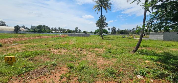 Devanahalli Main Image 1