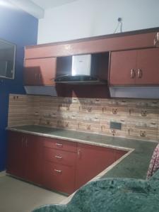 Kitchen Image of 1100 Sq.ft 2 BHK Builder Floor for rent in Radha Complex, Raksha Jabalpur for Rs. 12000