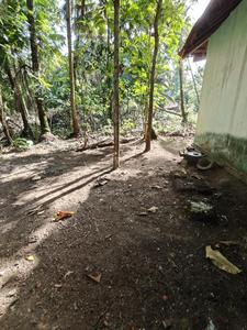Carmona Plot View 3