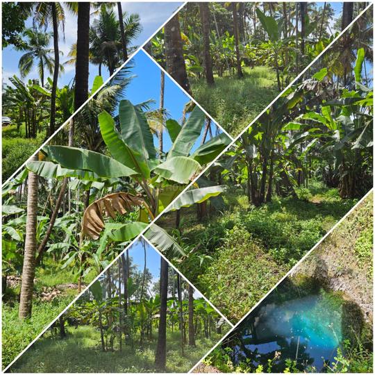 Amalanagar Main Image 1