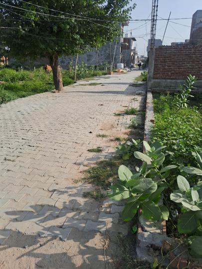 Khattu Patti Mohalla Main Image 1