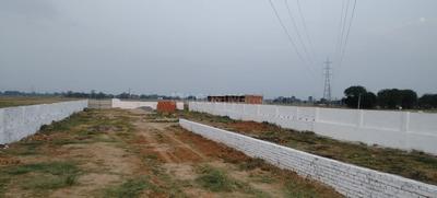 Royal society  Plot View 1