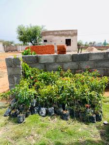 Image of 5400 Sq.ft 2 BHK Farm House for sale in Dhankya, Jaipur for Rs. 9000000