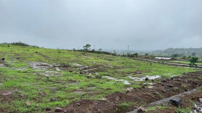 Image of 12422 Sq.ft Residential Plot / Land for sale in Samundi, Nashik for Rs. 4564000