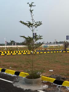 Image of 1200 Sq.ft Residential Plot / Land for sale in V Balakrishnan Dindigul N A, Balakrishnapuram, Dindigul for Rs. 850000