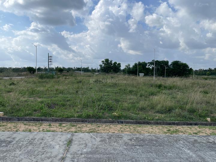 Bloomfields Main Image 1