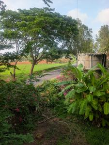 Image of 7700 Sq.ft Residential Plot / Land for sale in Nelamangala, Bengaluru for Rs. 27000000