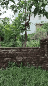 Image of 435 Sq.ft Residential Plot / Land for sale in Pandra, Ranchi for Rs. 2100000