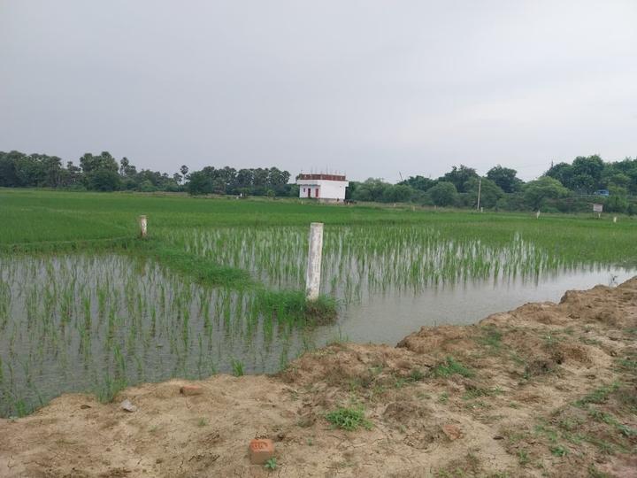 Beldari Chak Main Image 1