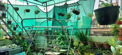Balcony Image of 1080 Sq.ft 5 BHK Independent House for sale in Mundi Kharar Mohali for Rs. 9000000