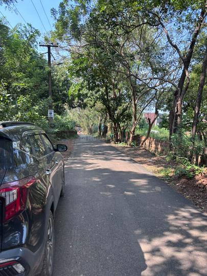 Mazal Waddo, Anjuna Main Image 1