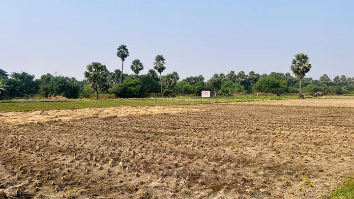 Patligram developers Main Image 1