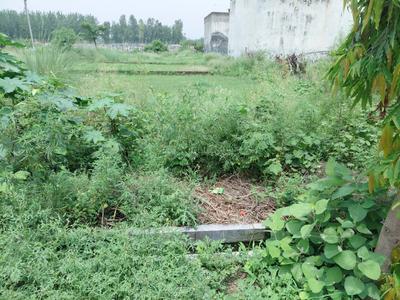 Image of 2152 Sq.ft Residential Plot / Land for sale in Chhoti Vihar, Bareilly for Rs. 3200000