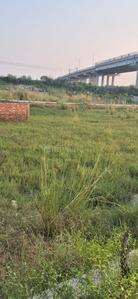 Image of 800 Sq.ft Residential Plot / Land for sale in Anora Kala, Lucknow for Rs. 1599000