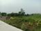 Apparent JB Garden Main Image 1