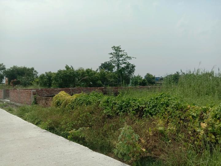 Apparent JB Garden Main Image 1
