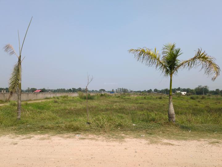 METRO PLEXCITY Main Image 1
