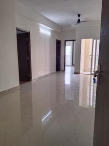 Hall Image of 1220 Sq.ft 2.5 BHK Apartment / Flat for rent in Amrapali Verona Heights, Noida Extension Greater Noida for Rs. 20000