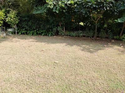 Image of 6300 Sq.ft 6 BHK Villa for rent in Thaltej, Ahmedabad for Rs. 650000