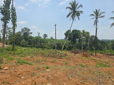 Image of 76176 Sq.ft Residential Plot / Land for sale in Kanjirappally, Kottayam for Rs. 26250000