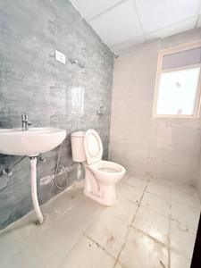 Image of 1115 Sq.ft 2 BHK Apartment / Flat for rent in Amrapali Dream Valley 2, Noida Extension, Greater Noida for Rs. 18000
