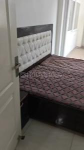Bedroom Image of 966 Sq.ft 3 BHK Apartment / Flat for rent in Mittals Mittal Ganpati Enclave, Ganpati Enclave Bathinda for Rs. 25000