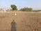 Shree Siddhivinayak Meera Plot View 2