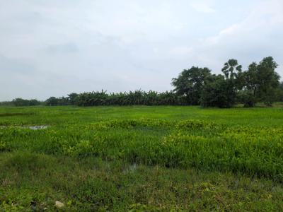Residential Plot