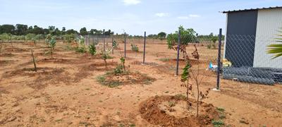 Image of 11104 Sq.ft Residential Plot / Land for sale in Sooriyur, Tiruchirappalli for Rs. 1765377