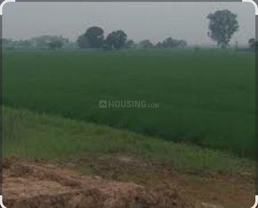Image of 1800 Sq.ft Residential Plot / Land for sale in New Chandigarh, Chandigarh for Rs. 17000000
