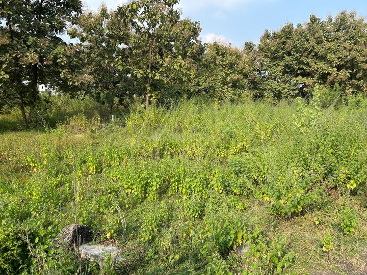 Ganga Vihar pipla Main Image 1