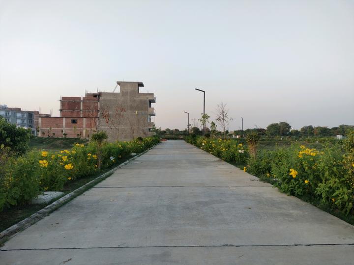 Amolik Aster Woods Main Image 1