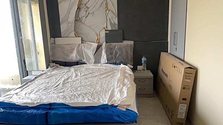 VN Exclusive 444 Main Image 1