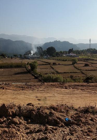 Dhaulas Main Image 1