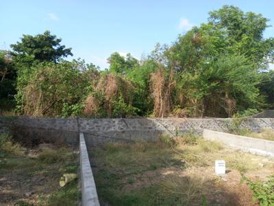 Hinjawadi Phase 2 Plot View 1