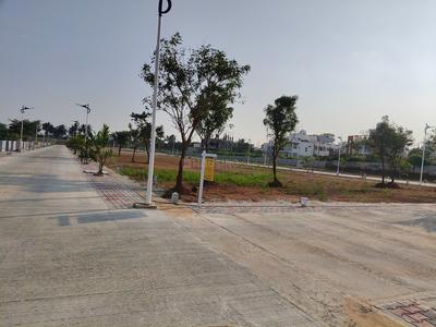 Block E Plot View 1