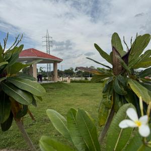 Image of 800 Sq.ft Residential Plot / Land for sale in Mahakal Shivkripa Residency, Panchderiya, Indore for Rs. 2200000
