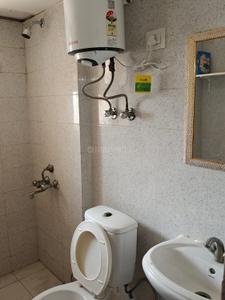 Bathroom Image of 494 Sq.ft Studio Apartment / Flat for rent in Sector 143 Noida for Rs. 20000
