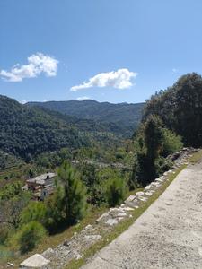 Image of 6450 Sq.ft Residential Plot / Land for sale in Mukteshwar, Nainital for Rs. 2700000