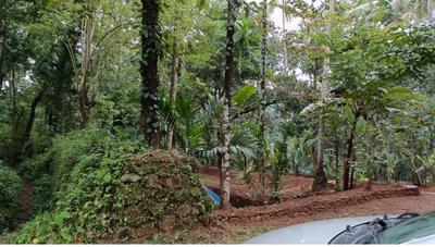 Image of 24000 Sq.ft Residential Plot / Land for sale in Tazhekkod, Kozhikode for Rs. 100000