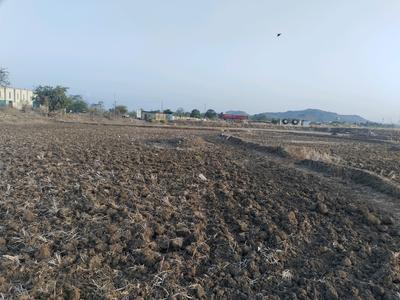 Sarde Plot View 1