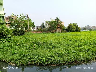 nill Plot View 3