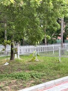 Residential Plot