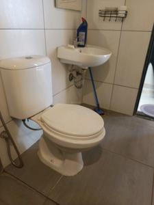 Common Bathroom Image of 1250 Sq.ft 2 BHK Apartment / Flat for sale in Elina Liva, Mohammed Wadi Pune for Rs. 11200000