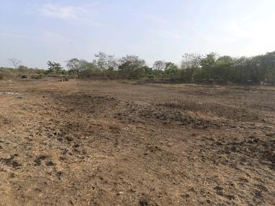 Residential Plot