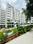 Manbhum Home Tree Main Image 1