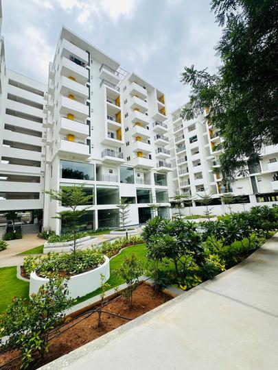 Manbhum Home Tree Main Image 1