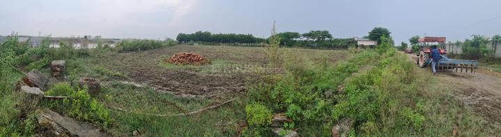 Assotech Canopy Main Image 1