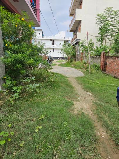 Charan bhatta road yamun puram colony near pgi hospital Main Image 1