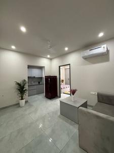 Hall Image of 1101 Sq.ft 1 BHK Apartment / Flat for rent in Vijay Nagar Indore for Rs. 27000
